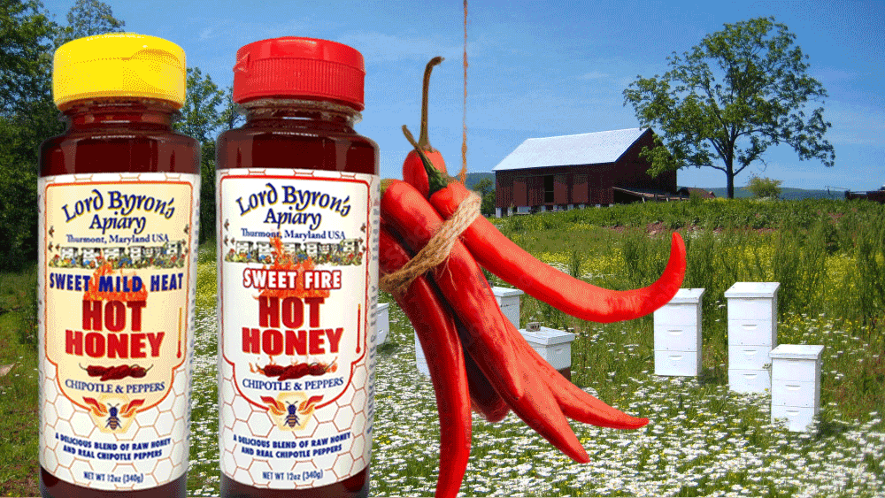 Hot Honey banner