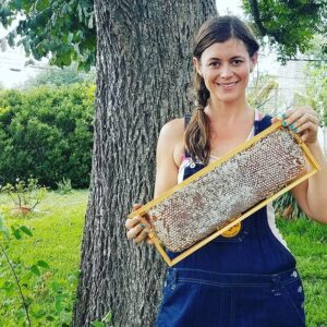 Honey in the Comb - Image 3
