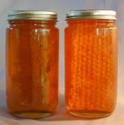 honey in Jar with honeycomb